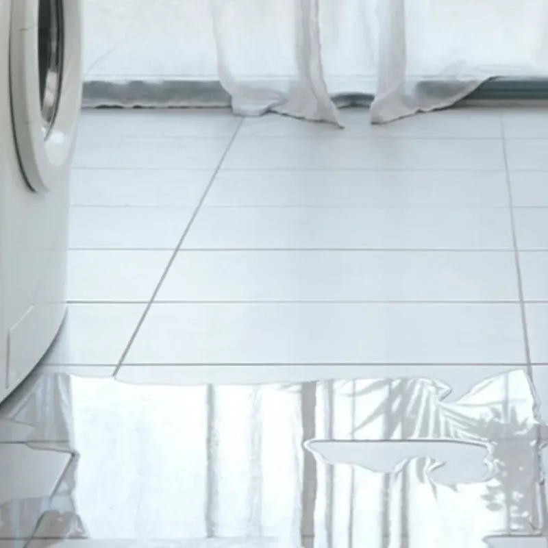 Appliance Leak Cleanup in Sherman, IL