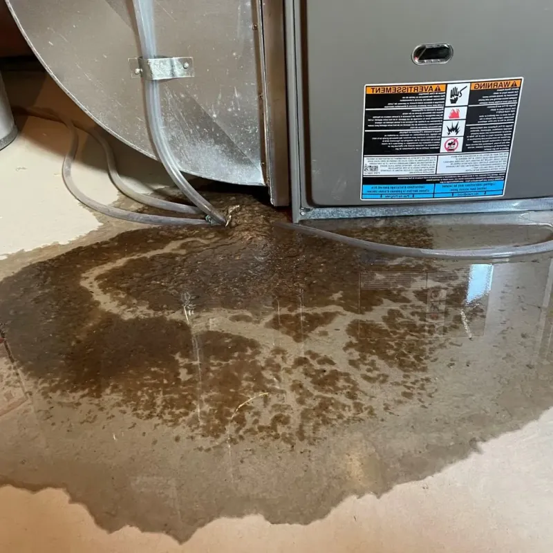Pipe Burst and Leak Restoration in Sherman, IL