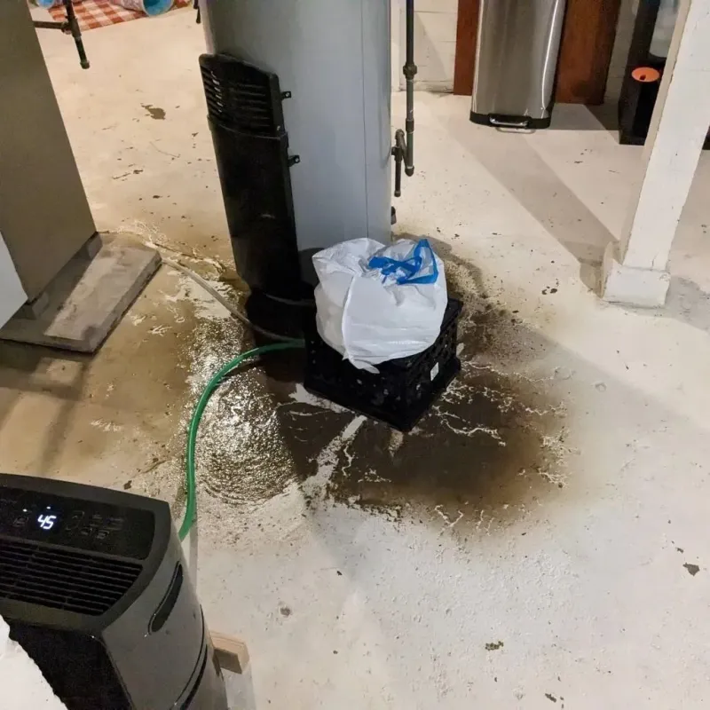 Sewage Backup Cleanup Service in Sherman, IL
